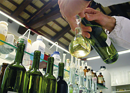 Laboratorio imbottigliamento vino